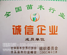 誠信企業